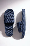 Blueberry Spongy Slipper