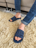 Blueberry Spongy Slipper